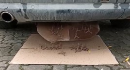 W razie pościgu Audi miało sypać kolcami