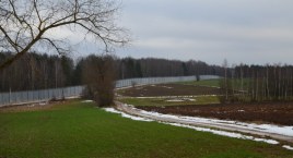 Graniczne statystyki