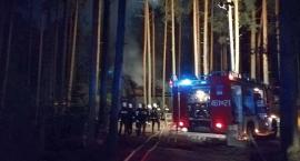 Pięcioosobowa rodzina straciła dach nad głową