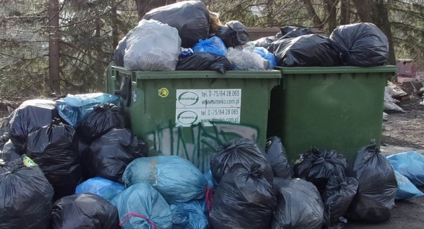 Weryfikacja deklaracji śmieciowych