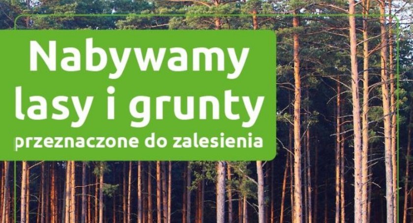 Lasy i grunty do zalesienia