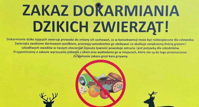 Nie dokarmiaj dzikich zwierząt!