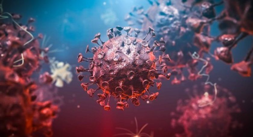 Jak wygląda sytuacja epidemiologiczna w Legnicy i powiecie legnickim? 