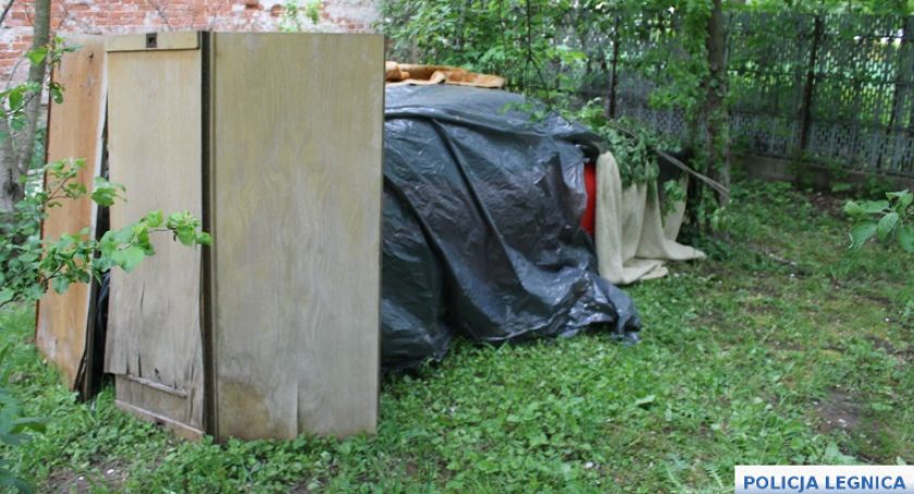 Skradzione auta zostały znalezione na jednym z podwórek w Legnicy