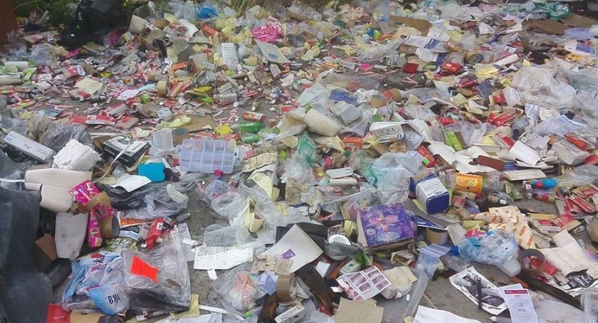 Urząd miasta szuka firmy do likwidacji dzikich wysypisk śmieci