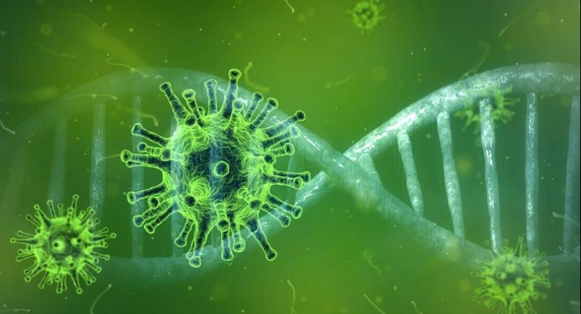 Jak wygląda aktualna sytuacja epidemiczna w mieście i powiecie?