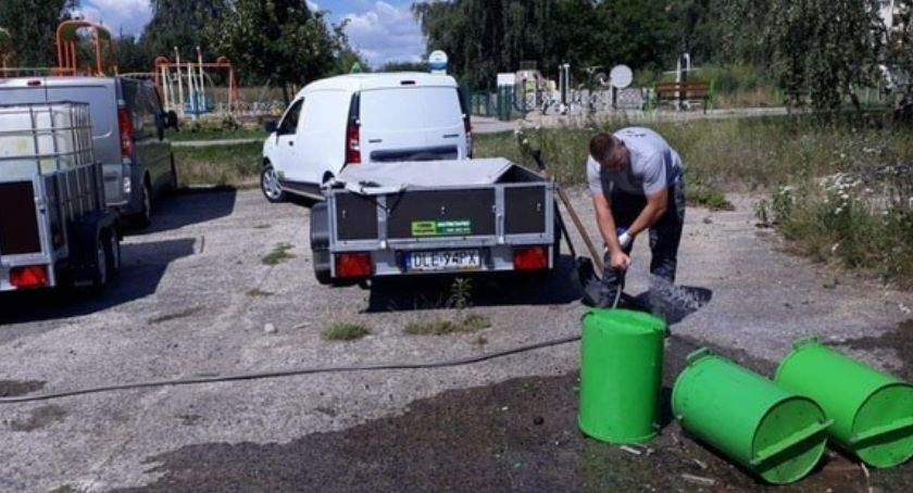 Uwaga. Na legnickich placach zabaw znaleziono gniazda os!