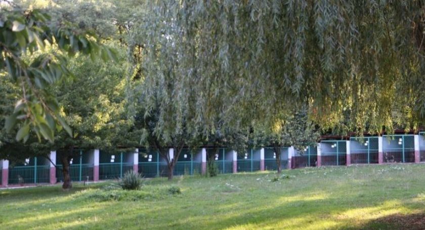 Nie ma chętnych na dostawę psich bud do legnickiego schroniska