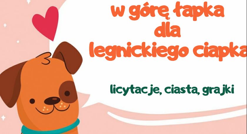 W górę łapka dla legnickiego ciapka, czyli kwesta dla bezdomnych zwierząt