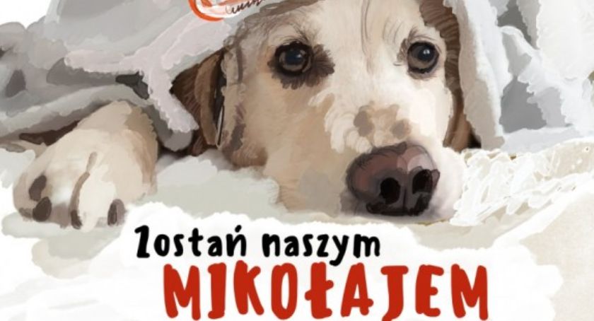 Schronisko dla bezdomnych zwierząt prosi o pomoc. Potrzebna jest karma