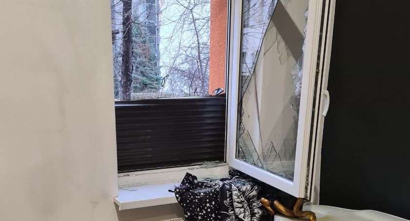 Nocne włamanie do studia Tatuażu i Piercingu KleinDevil w Legnicy