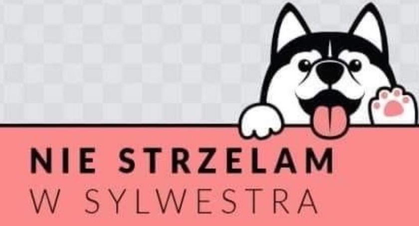 Kochasz zwierzęta? Jak tak, to nie strzelaj w Sylwestra!