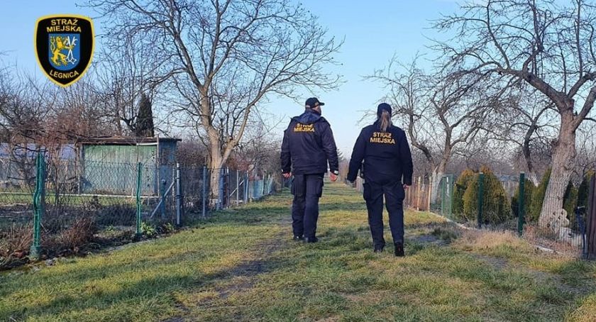 Jeden telefon może uratować komuś życie. W Legnicy ruszyła akcja ZIMA