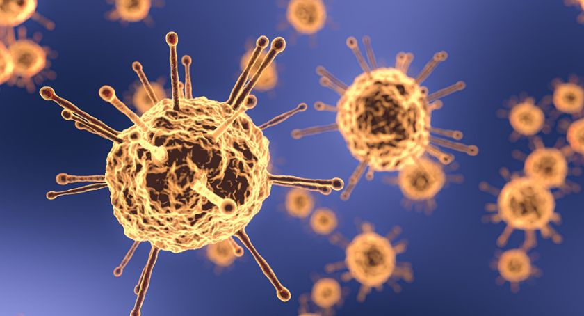Jeden dobowy przypadek koronawirusa w Legnicy. Sytuacja epidemiczna po weekendzie