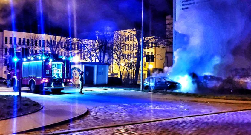 Nocny pożar w Legnicy. Spłonął wrak samochodu w okolicach parku [FOTO/WIDEO]