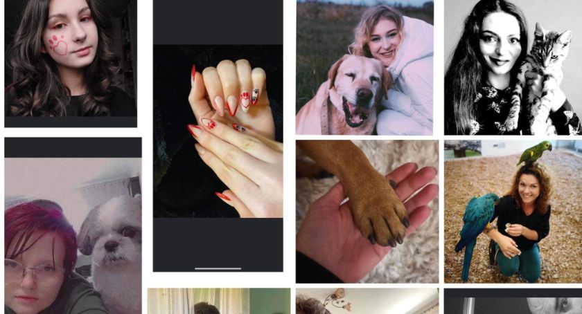 Challenge #Podajłapkę podbija Facebook. O co chodzi w akcji licealistów? [FOTO]