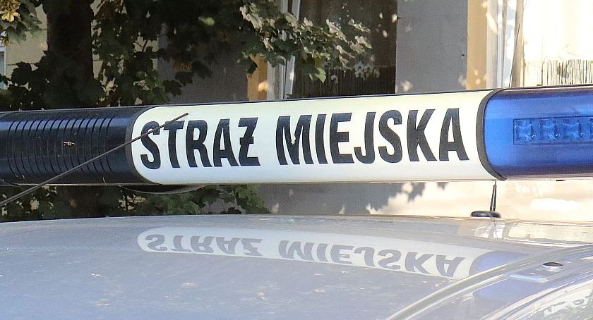 Straż miejska zaprasza szkoły na zajęcia profilaktyczne online dla uczniów 