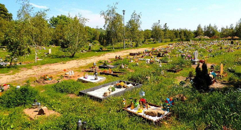 Co z budową cmentarza i krematorium dla zwierząt w Legnicy? 
