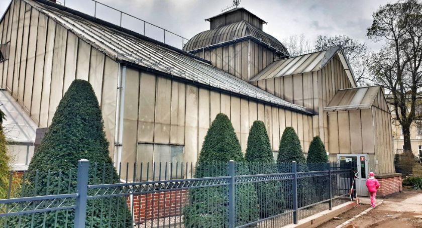 Urzędnicy rozpisali przetarg dot. palmiarni i mini zoo w Parku Miejskim