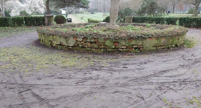 Radny domaga się remontu parkowych alejek. „Są w bardzo złym stanie”
