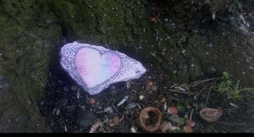 W Legnicy pojawiły się nietypowe kamyki. Skąd pochodzą i dlaczego je szukamy? 