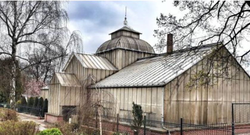LPGK zeszło z ceny, ale przetarg dot. miejskiej palmiarni i mini zoo i tak unieważniony
