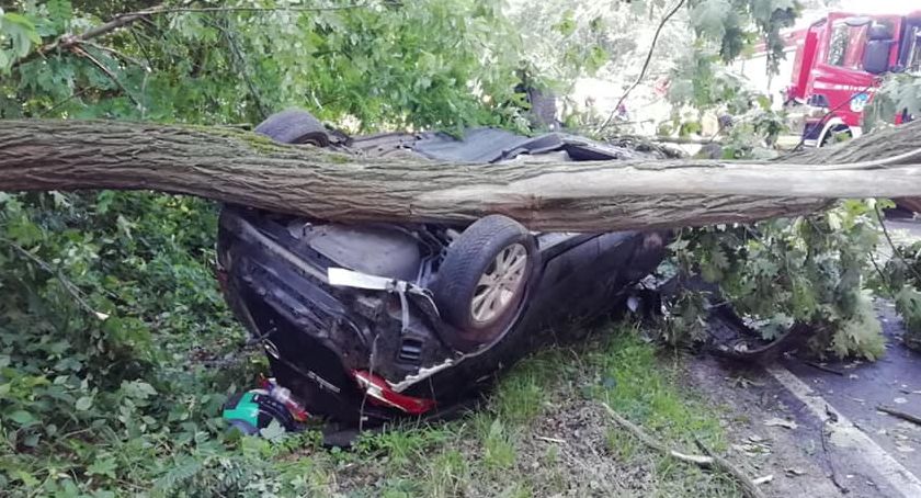 Wypadek k. Legnicy. Auto rozbiło się o przydrożne drzewo - są trzy osoby ranne [FOTO]