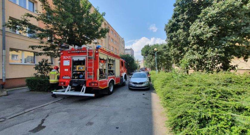 Pożar w centrum Legnicy. Strażacy walczyli z ogniem w piwnicy [ZDJĘCIA]