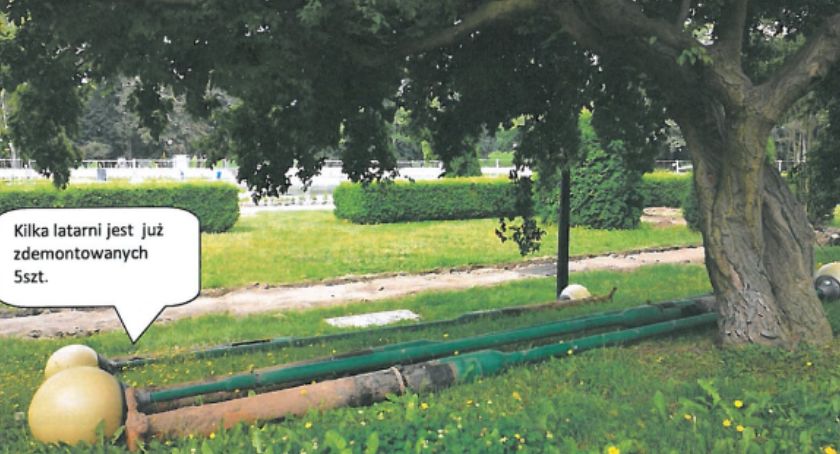 Działkowcy proszą miasto o latarnie. U prezydenta wstawił się za nimi radny PiS