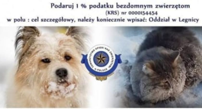 Zarząd komisaryczny w legnickim oddziale Towarzystwa Opieki nad Zwierzętami