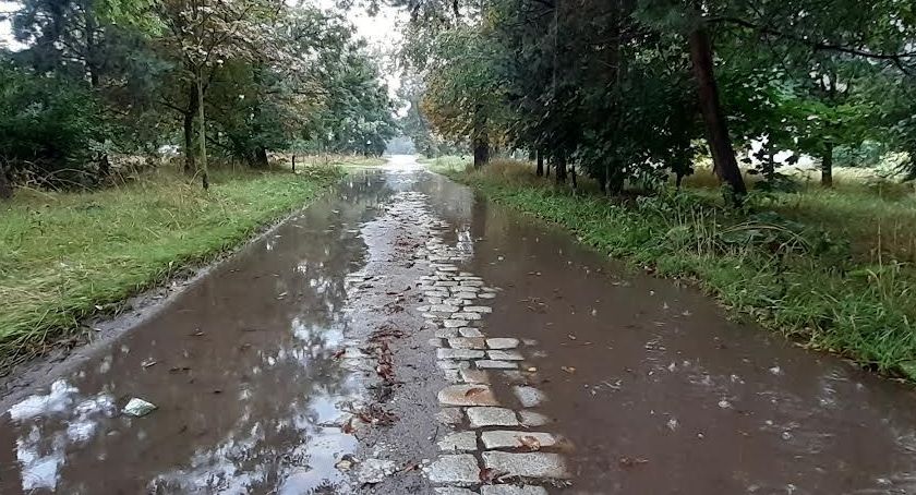Tak wygląda ulica Wielogórska w Legnicy – mieszkańcy zapraszają prezydenta [ZDJĘCIA]