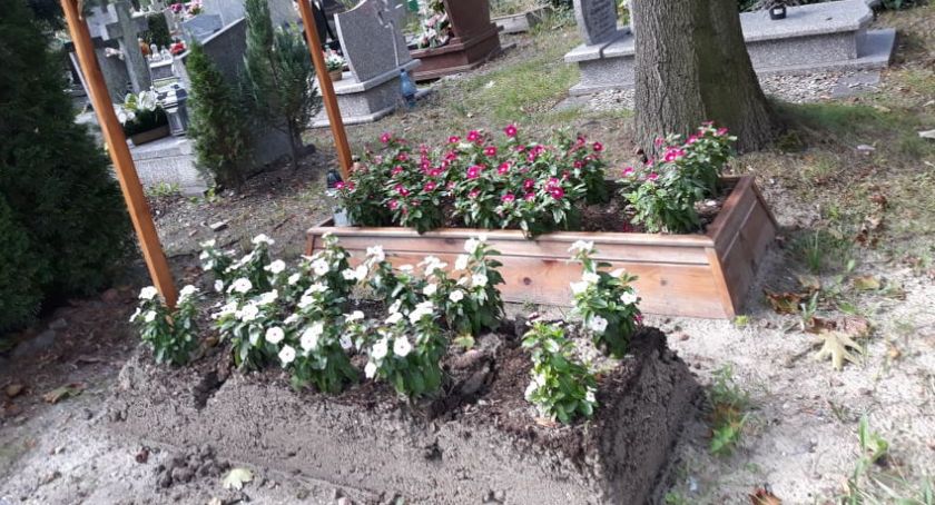 Legnica. Zdewastowane groby bezdomnych na cmentarzu przy ul. Wrocławskiej [ZDJĘCIA]