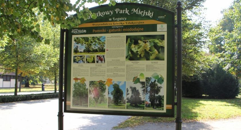 Na spacer do Parku Miejskiego w Legnicy – sprawdźcie nowe plansze edukacyjne