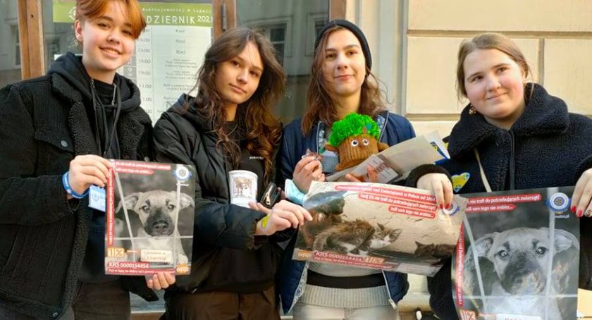 Legnicki TOZ na Jarmarku Staroci uzbierał ponad 2,5 tys. zł dla bezdomnych zwierzaków  