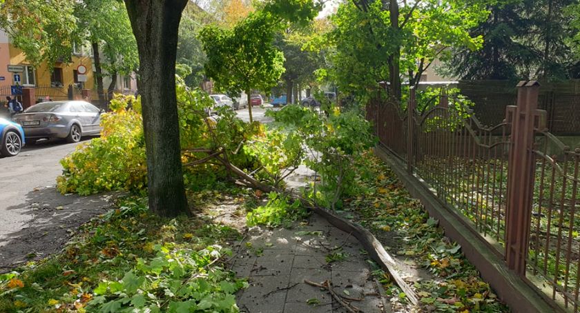 Uwaga! Ostrzeżenie meteorologiczne dla Legnicy - będzie wiać także w piątek  
