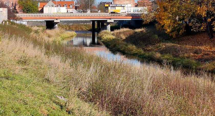 Miejscy urzędnicy znaleźli firmę, która zrobi porządek nad Kaczawą [ZDJĘCIA]