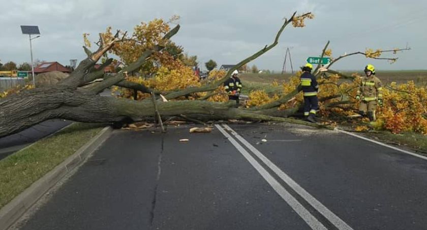 Ostrzeżenie meteorologiczne dla Legnicy. Uwaga, znów będzie mocno wiać!