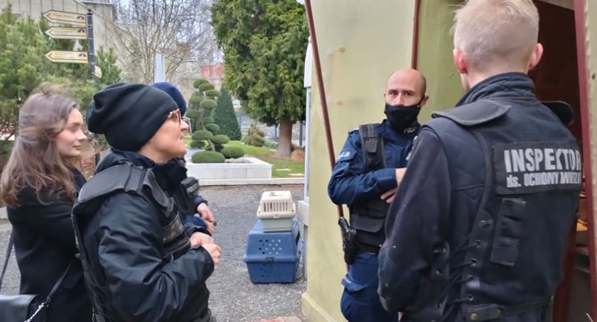 Awantura w palmiarni. Ekolodzy wpadli na kontrolę, interweniowała policja [ZDJĘCIA]