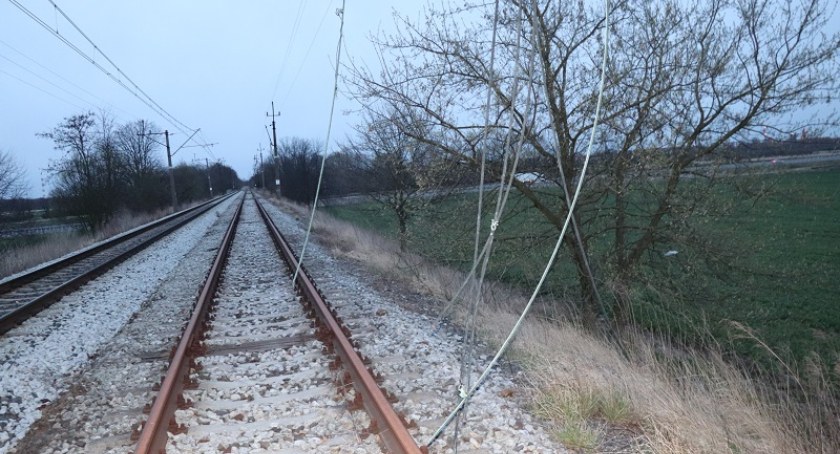 Chciał ukraść linie trakcji kolejowej pod napięciem. Źle wyszedł na złodziejskim rzemiośle  