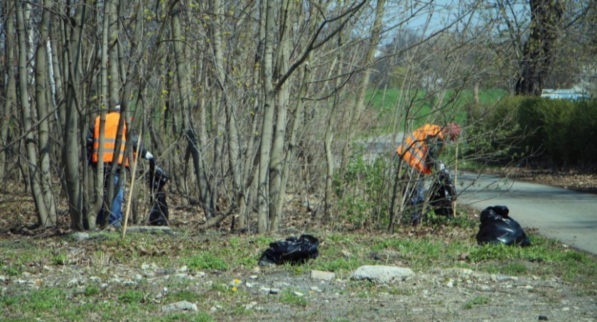 Urzędnicy organizują roboty publiczne. Bezrobotni legniczanie sprzątają miasto