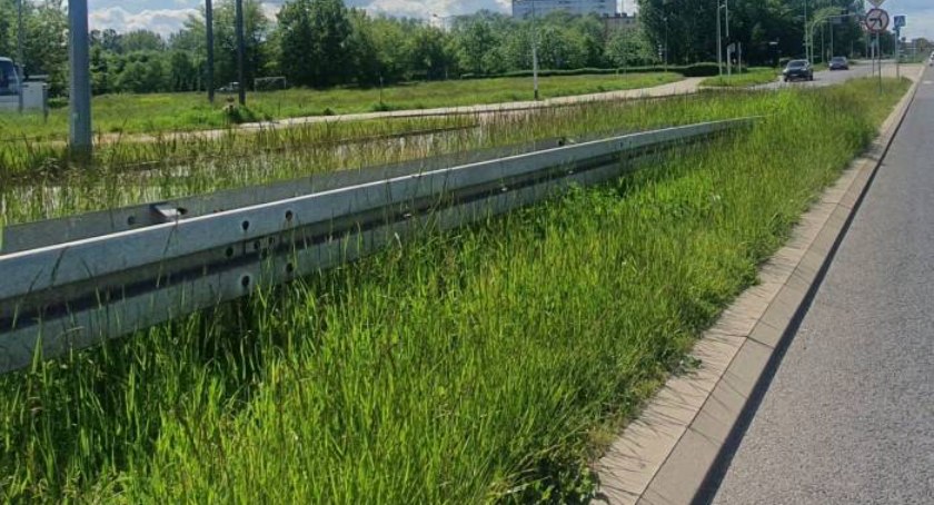 Jest szansa, że w tym roku Legnica poradzi sobie z koszeniem trawy przy ulicach