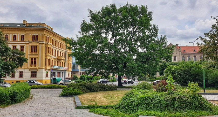 NASZA SONDA. Czy w tym miejscu potrzebne jest rondo?
