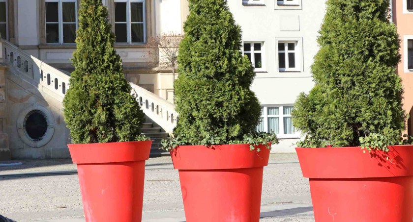 W Legnicy mamy grubo ponad 200 donic. Ile będzie kosztować ich utrzymanie?