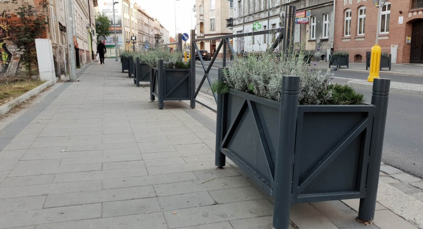 Nikt nie chce zająć się legnickimi donicami. Miasto płaci 120 tys. złotych