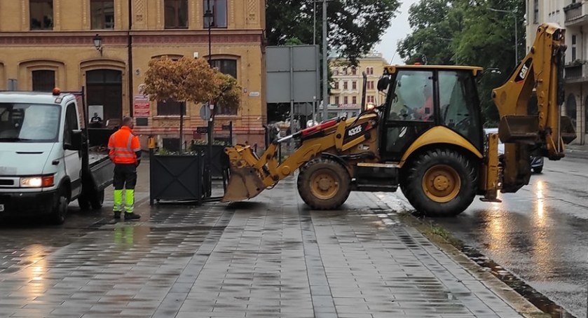 Z centrum miasta zniknęły słynne donice z drzewami. Dlaczego? 