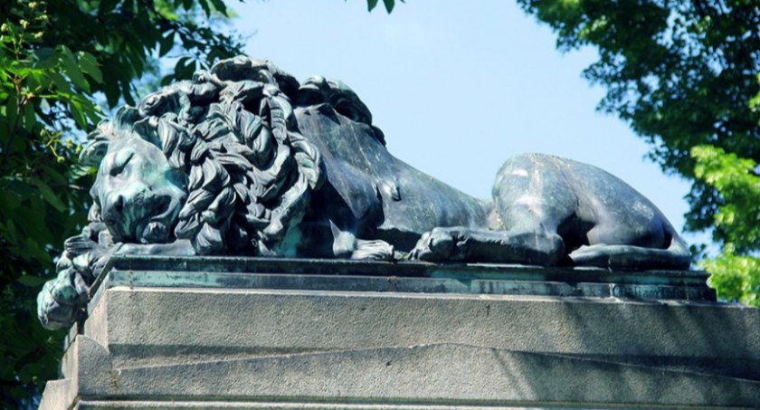 W sobotę spacer historyczny. Marcin Makuch opowie historię legnickiego lwa