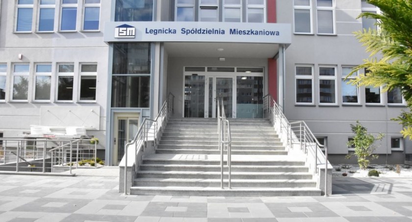 Legnicka Spółdzielnia Mieszkaniowa pyta lokatorów o wycinkę drzew