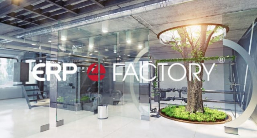 System ERP w firmie produkcyjnej - co powinieneś wiedzieć?