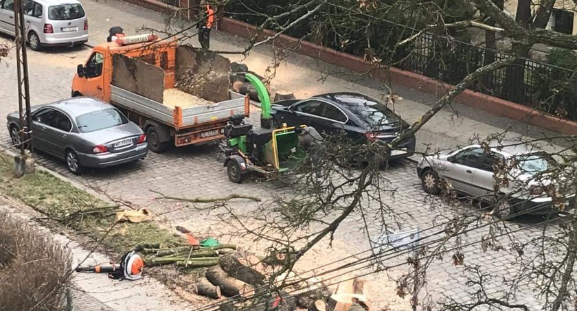 Miasto wycina drzewa przy ul. Wyspiańskiego. Dlaczego?