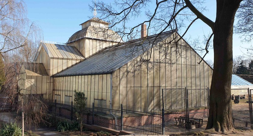 LPGK przegrało przetarg na utrzymanie Palmiarni